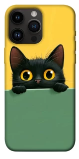 Чохол на Apple iPhone 14 Pro Max (6.7") Black cat v2 фото 1 з 1