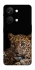 Чохол на OnePlus Nord 3 Leopard v4 фото 1 з 1