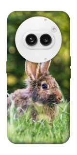 Чехол на Nothing Phone (2a) Кролики фото 1 из 1