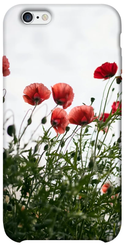 Чохол на Apple iPhone 6/6s (4.7") Поле маків фото 1 з 1