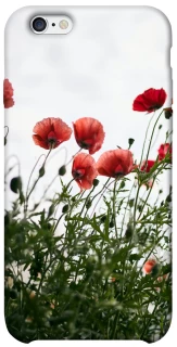 Чохол на Apple iPhone 6/6s (4.7") Поле маків фото 1 з 1