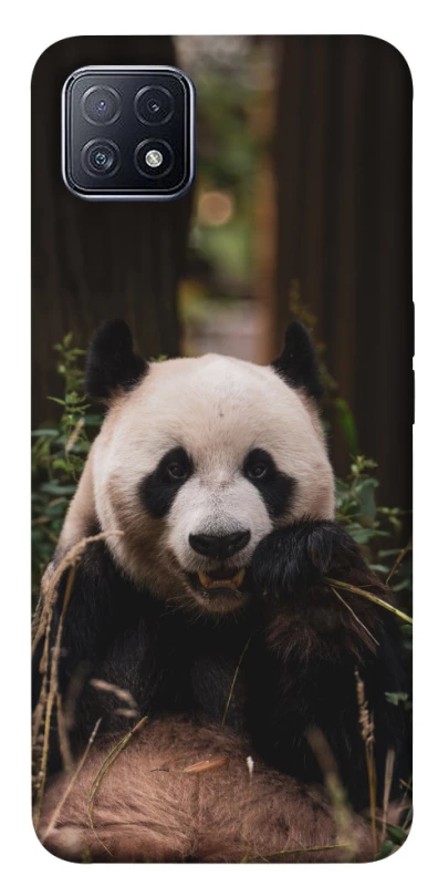 Чохол на Oppo A73 Панда фото 1 з 1