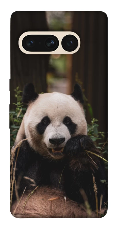 Чехол на Google Pixel 7 Pro Панда фото 1 из 1