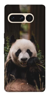 Чехол на Google Pixel 7 Pro Панда фото 1 из 1
