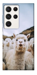 Чехол на Samsung Galaxy S23 Ultra Лама фото 1 из 1