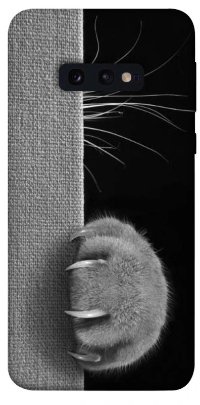 Чехол на Samsung Galaxy S10e Spy Cat фото 1 из 1