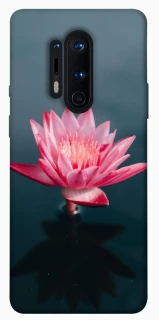 Чохол на OnePlus 8 Pro Лотос фото 1 з 1
