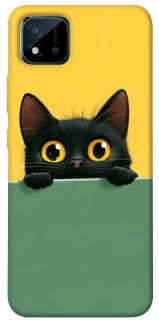 Чехол на Realme C20 Black cat v2 фото 1 из 1
