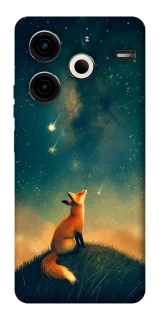 Чехол на TECNO Pova 6 Neo (LI6) Sky fox фото 1 из 1