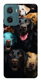 Чохол на Motorola Moto G06 Собаки фото 1 з 1