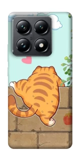 Чохол на Xiaomi 14T Pro Cat the meow фото 1 з 1