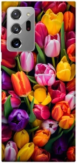 Чохол на Samsung Galaxy Note 20 Ultra Flowers v30 фото 1 з 1