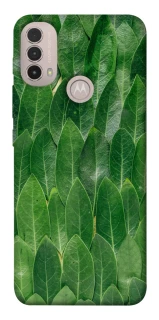 Чохол на Motorola Moto E40 Листя фото 1 з 1