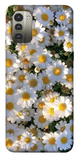 Чохол на Nokia G11 Поле ромашок фото 1 з 1