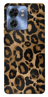 Чохол на Motorola Edge 40 Leopard Skin фото 1 з 1