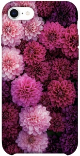 Чохол на Apple iPhone SE (2020) Garden1 фото 1 з 1