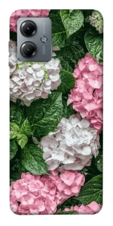 Чехол на Motorola Moto G14 Secret Garden фото 1 из 1