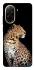 Чохол на Xiaomi Redmi A5 (Europe version) Leopard v2 фото 1 з 1