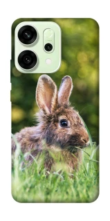 Чехол на Oppo Reno 14 Кролики фото 1 из 1