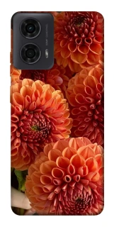 Чохол на Motorola Moto G04 Flower1 фото 1 з 1