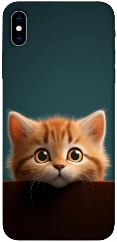 Чохол на Apple iPhone XS Max (6.5") Чохол Кошеня фото 1 з 1