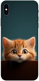 Чохол на Apple iPhone XS Max (6.5") Чохол Кошеня фото 1 з 1