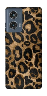 Чохол на Motorola Edge 50 Leopard Skin фото 1 з 1