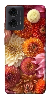 Чохол на Motorola Moto G24 Bouquet фото 1 з 1