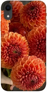 Чохол на Apple iPhone XR (6.1") Flower1 фото 1 з 1