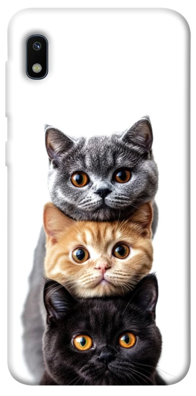 Чехол на Samsung Galaxy A10 (A105F) Красивые котики фото 1 из 1