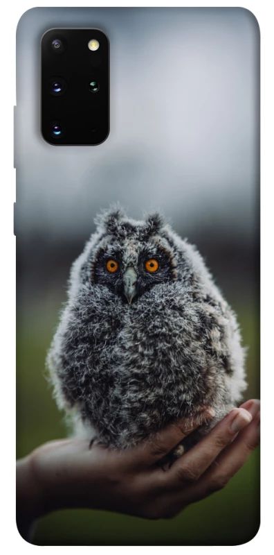 Чохол на Samsung Galaxy S20+ Совеня фото 1 з 1