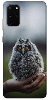 Чохол на Samsung Galaxy S20+ Совеня фото 1 з 1