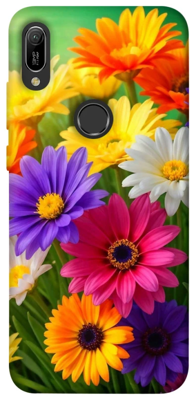 Чохол на Huawei Y6 (2019) Flowers v32 фото 1 з 1