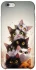 Чехол на Apple iPhone 6/6s (4.7") Сat eyes фото 1 из 1