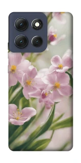 Чехол на Motorola Moto G86 Spring фото 1 из 1