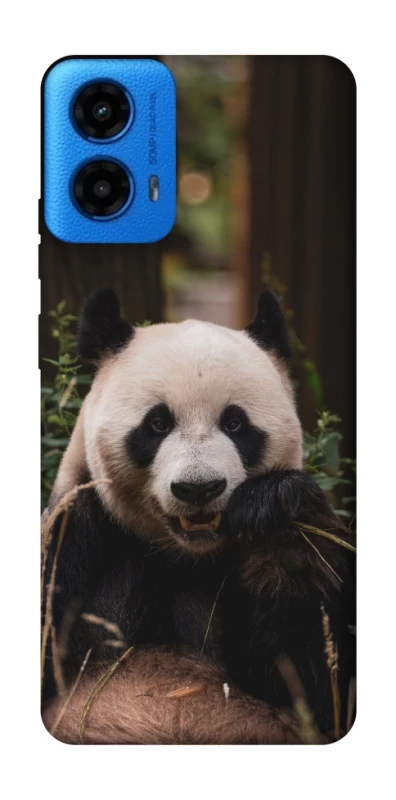 Чехол на Motorola Moto G45 Панда фото 1 из 1