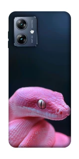 Чохол на Motorola Moto G54 Power Рожева змія фото 1 з 1