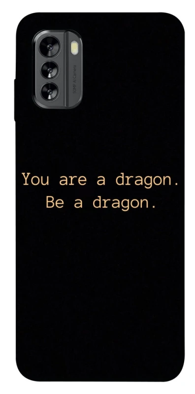 Чехол на Nokia G60 House of the Dragon ver.9 фото 1 из 1