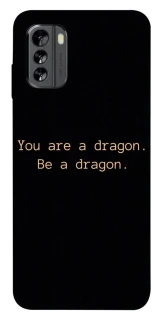 Чехол на Nokia G60 House of the Dragon ver.9 фото 1 из 1