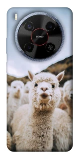 Чехол на ZTE Blade V70 Max Лама фото 1 из 1