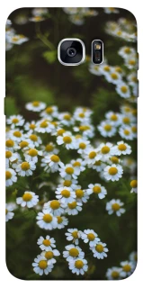 Чехол на Samsung G935F Galaxy S7 Edge Ромашки v13 фото 1 из 1