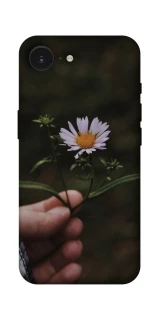 Чохол на Apple iPhone 17e (6.1") Ромашка v4 фото 1 з 1