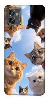 Чехол на Motorola Moto G32 Cats фото 1 из 1