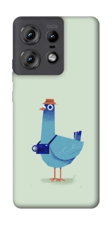 Чохол на Motorola Edge 50 Pro Голуб-детектив фото 1 з 1