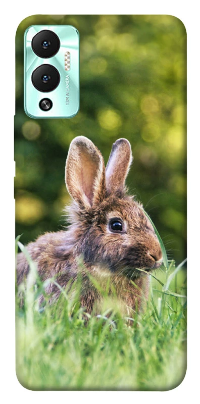 Чехол на Infinix Hot 12 Play Кролики фото 1 из 1