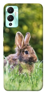 Чехол на Infinix Hot 12 Play Кролики фото 1 из 1