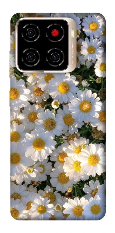 Чехол на ZTE Blade A56 Поле ромашек фото 1 из 1