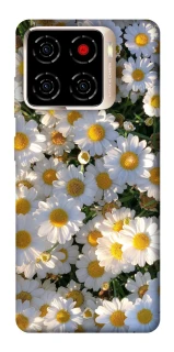 Чехол на ZTE Blade A56 Поле ромашек фото 1 из 1