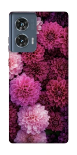 Чохол на Motorola Edge 50 Garden1 фото 1 з 1