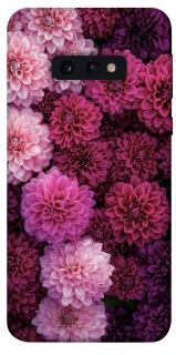 Чохол на Samsung Galaxy S10e Garden1 фото 1 з 1